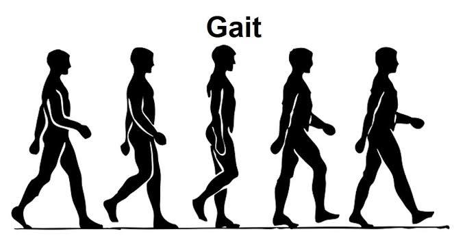 Gait