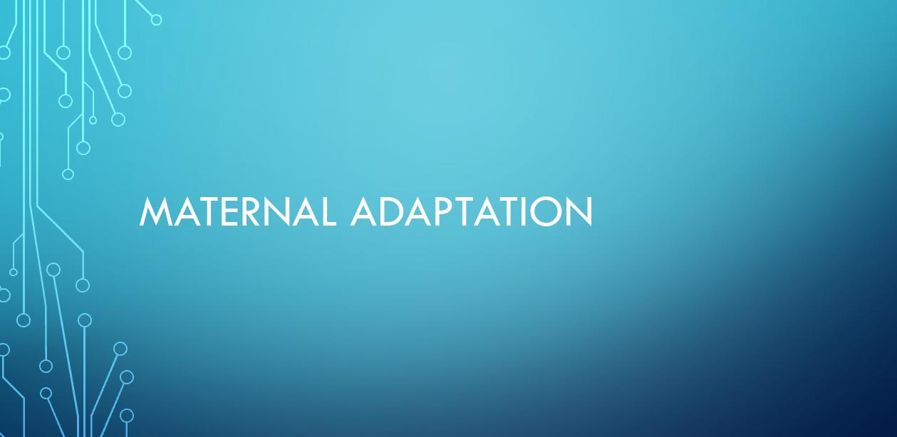 Maternal Adaptation To Pregnancy contnd..