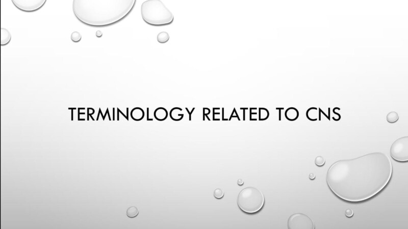 Terminology Related to CNS