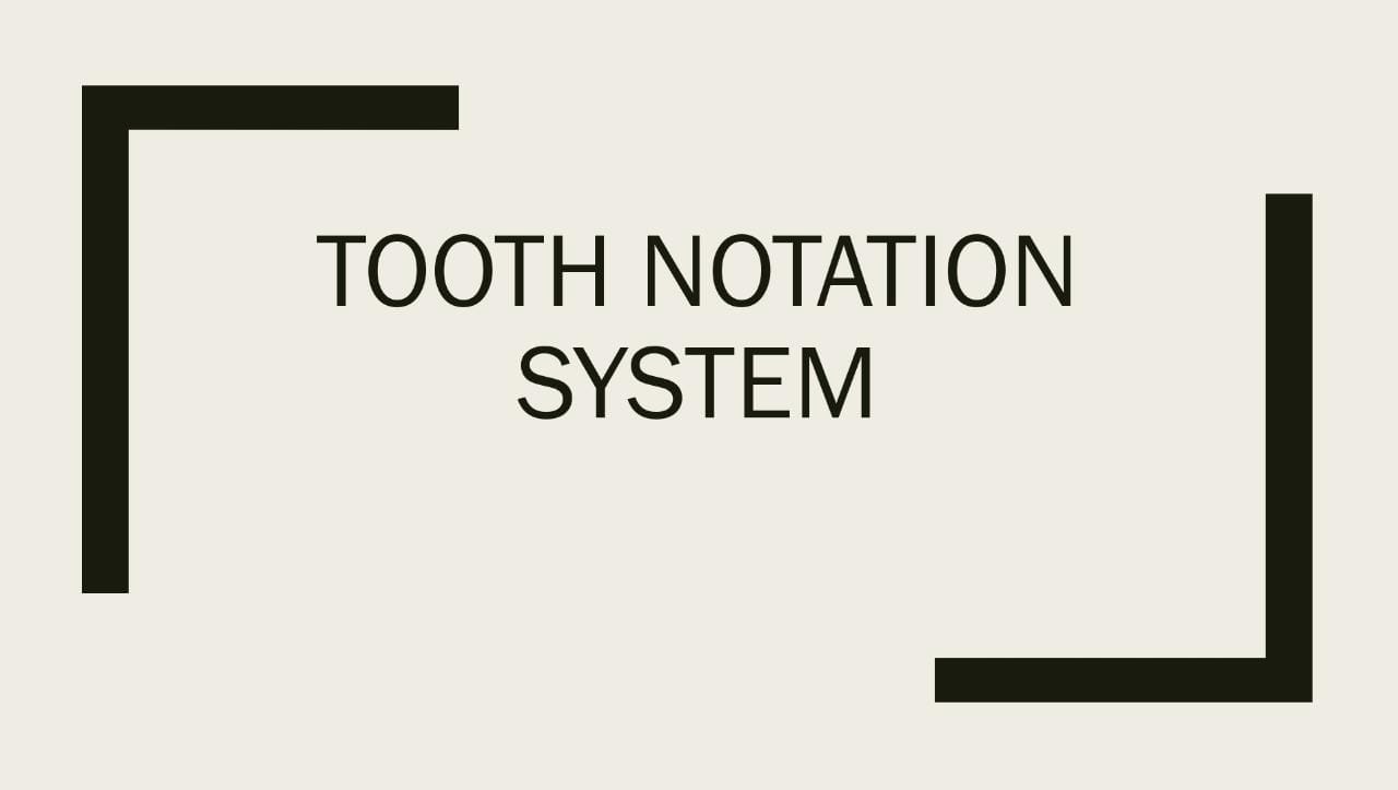 TOOTH NOTATION SYSTEM