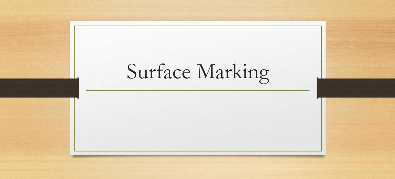 SURFACE  MARKING  OF  HEART,  LIVER,  LUNGS  AND  URETER