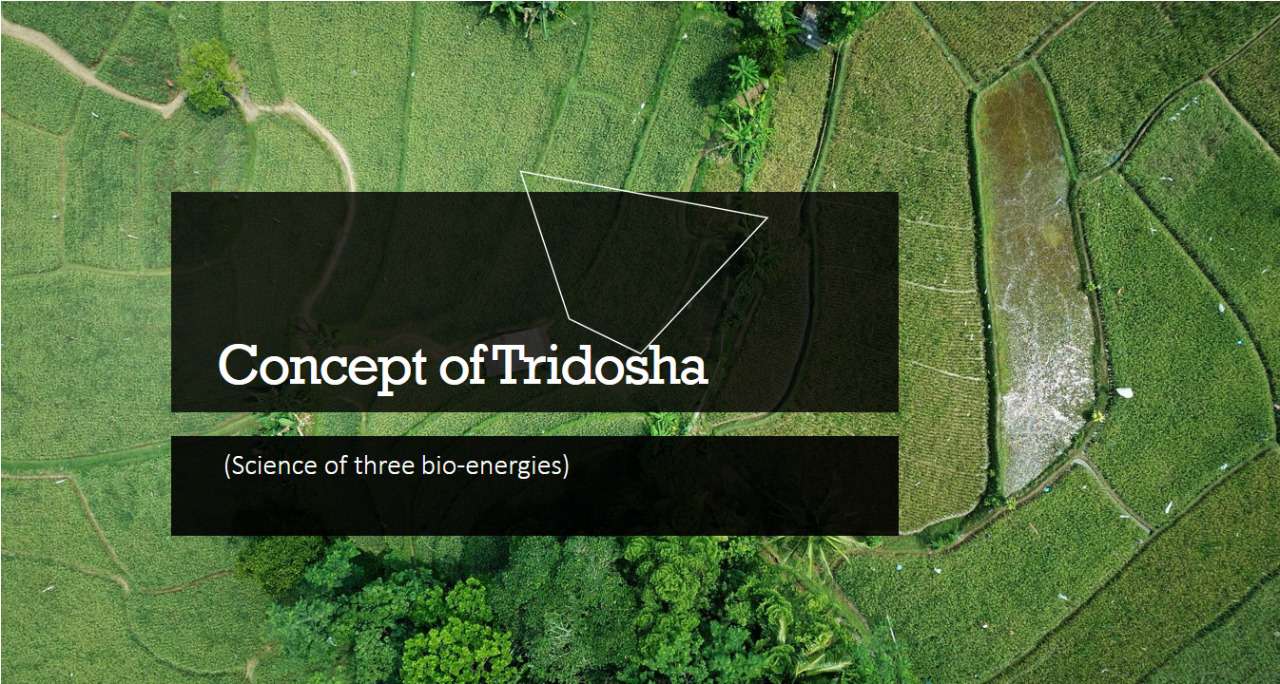 Concept of Tridosha (Science of three bio- energies)