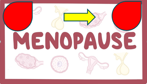 PHYSIOLOGY OF MENOPAUSE