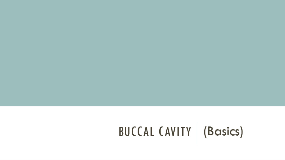 Buccal Cavity (Basics)
