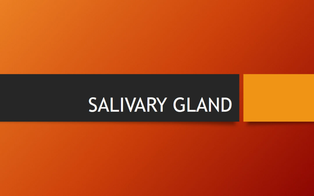 SALIVARY GLAND