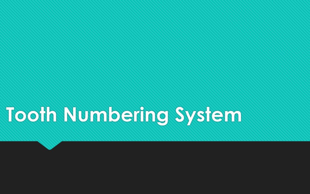 TOOTH NUMBERING SYSTEM