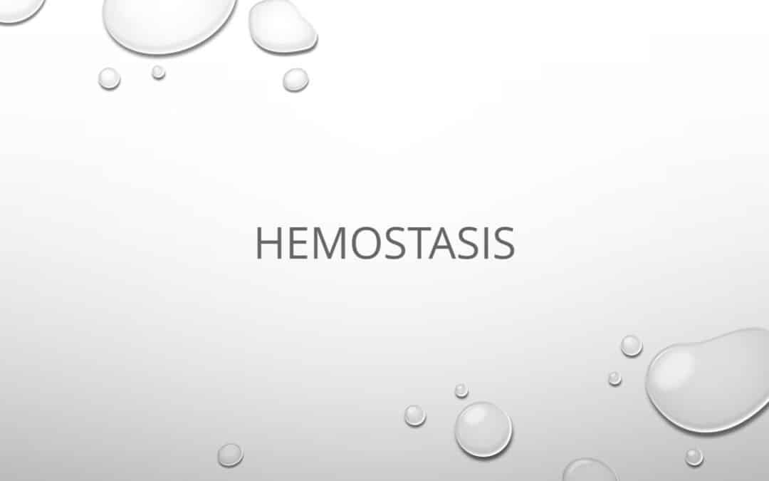 HEMOSTASIS