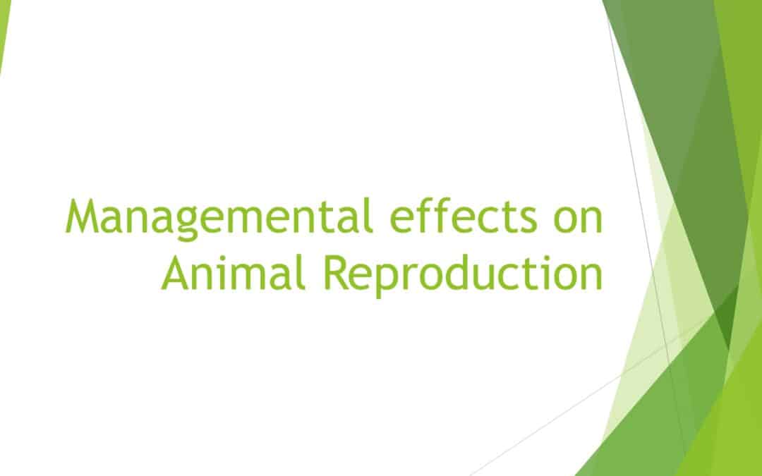 Managemental effects on Animal Reproduction