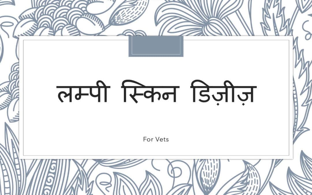 लम्पी स्किन डिज़ीज़