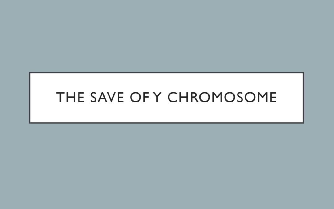 The Save of Y – Chromosome