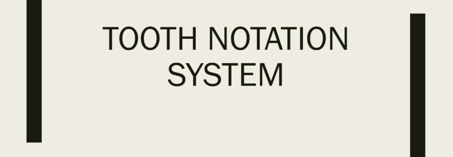tooth notation system