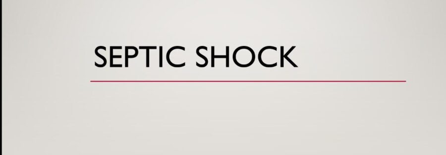 septic shock harris