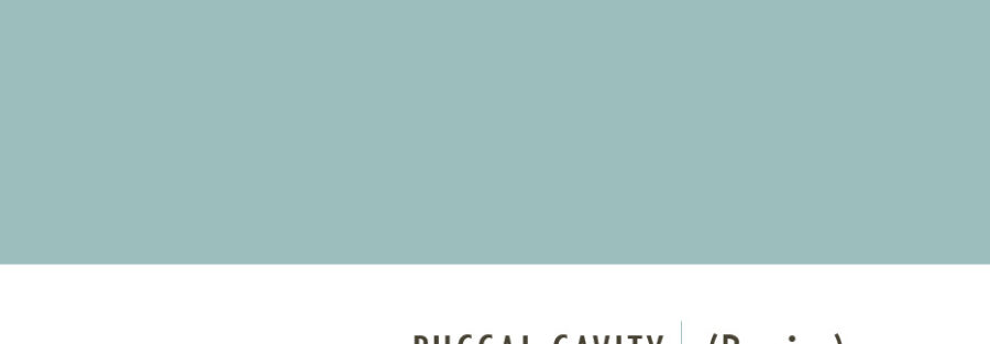 Buccal Cavity