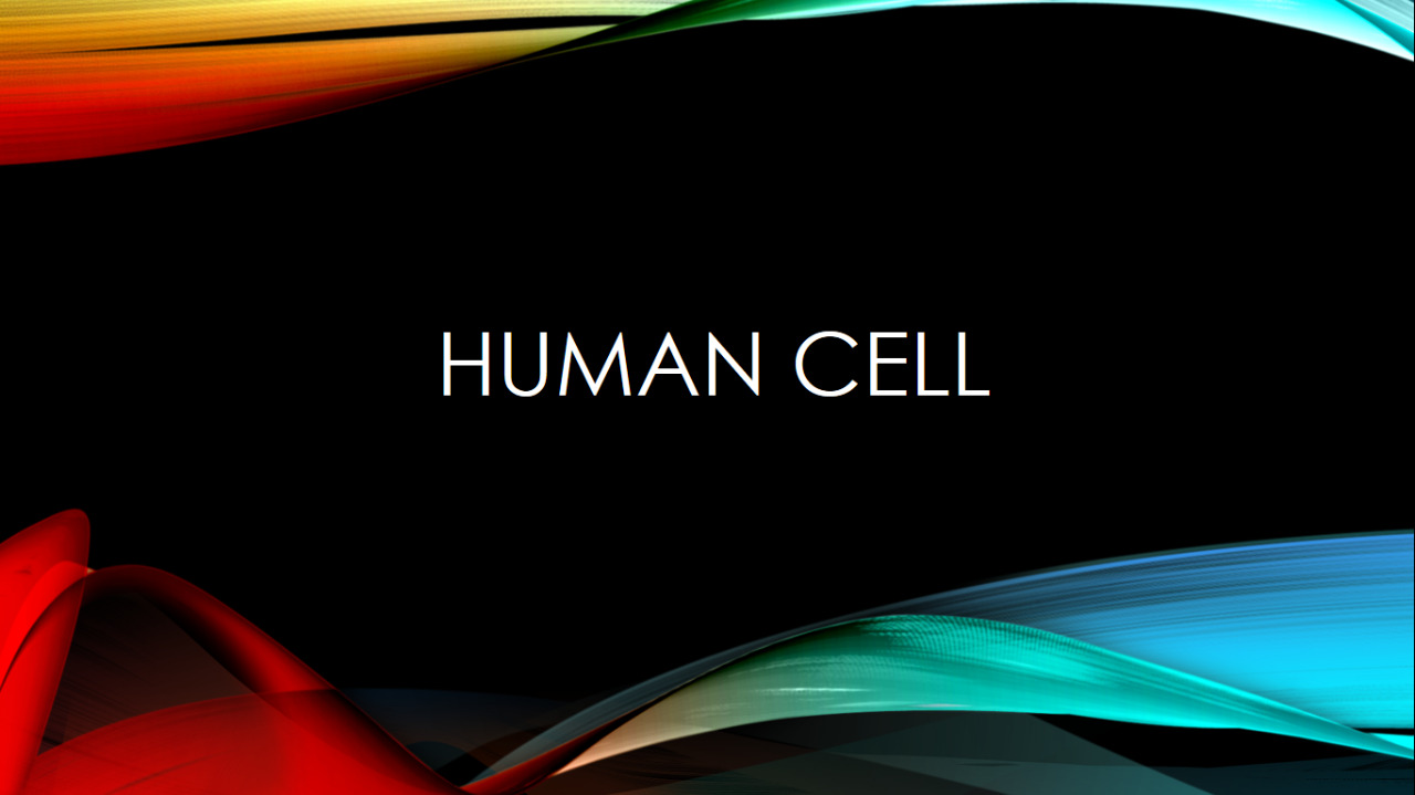 human cell