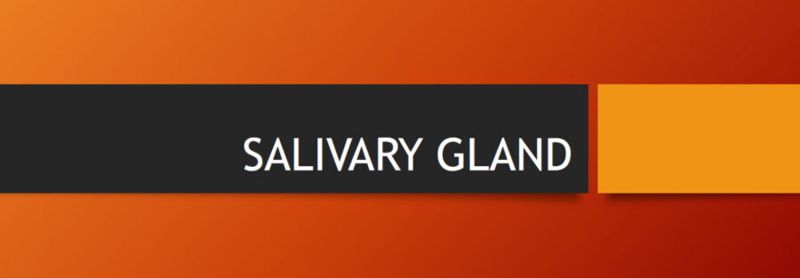 SALIVARY GLAND