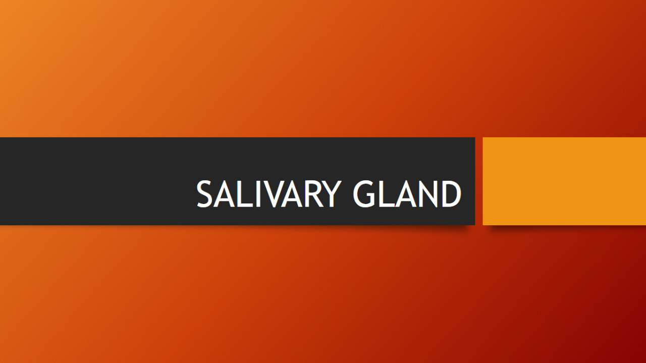SALIVARY GLAND