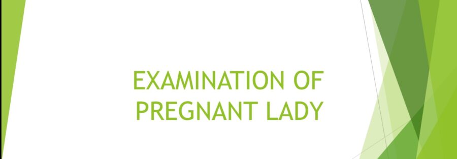 Pregnant lady