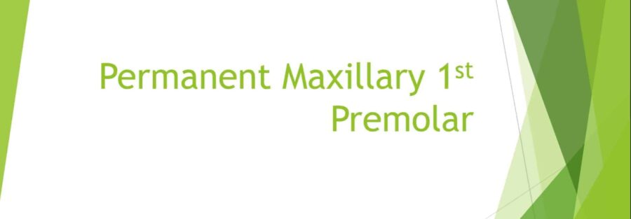 Maxillary