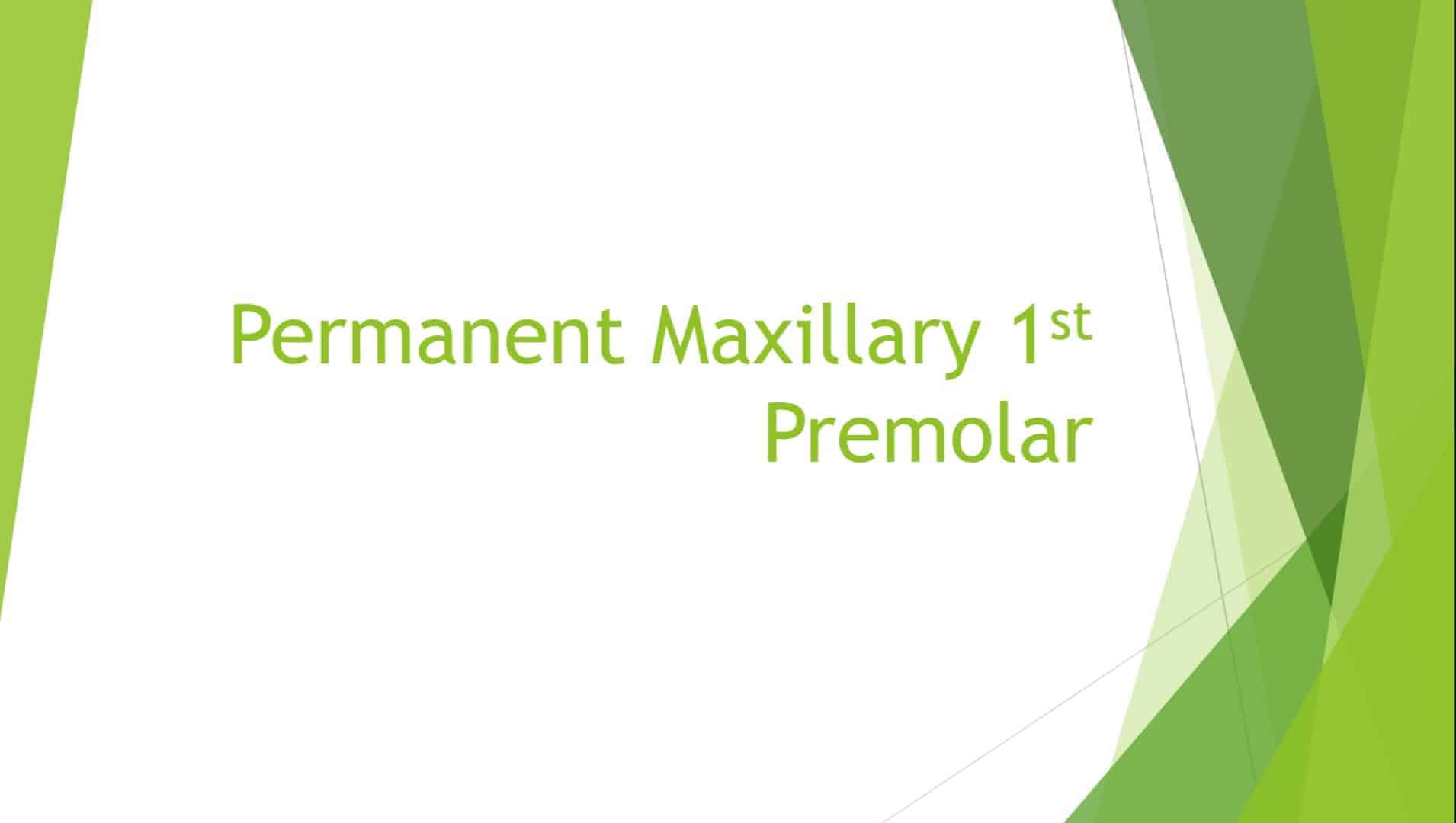 Maxillary