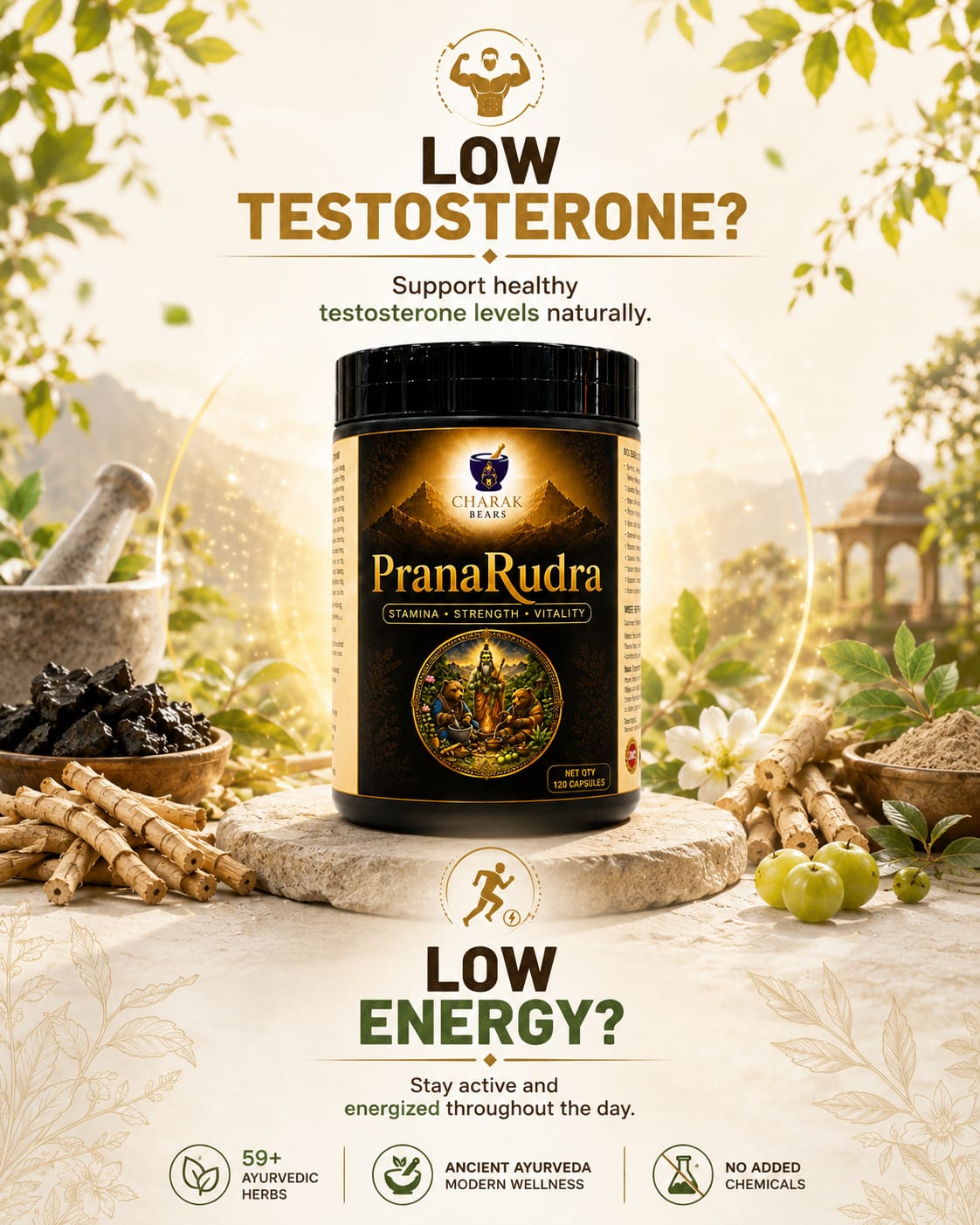 PranaRudra Ayurvedic Capsules - Image 3