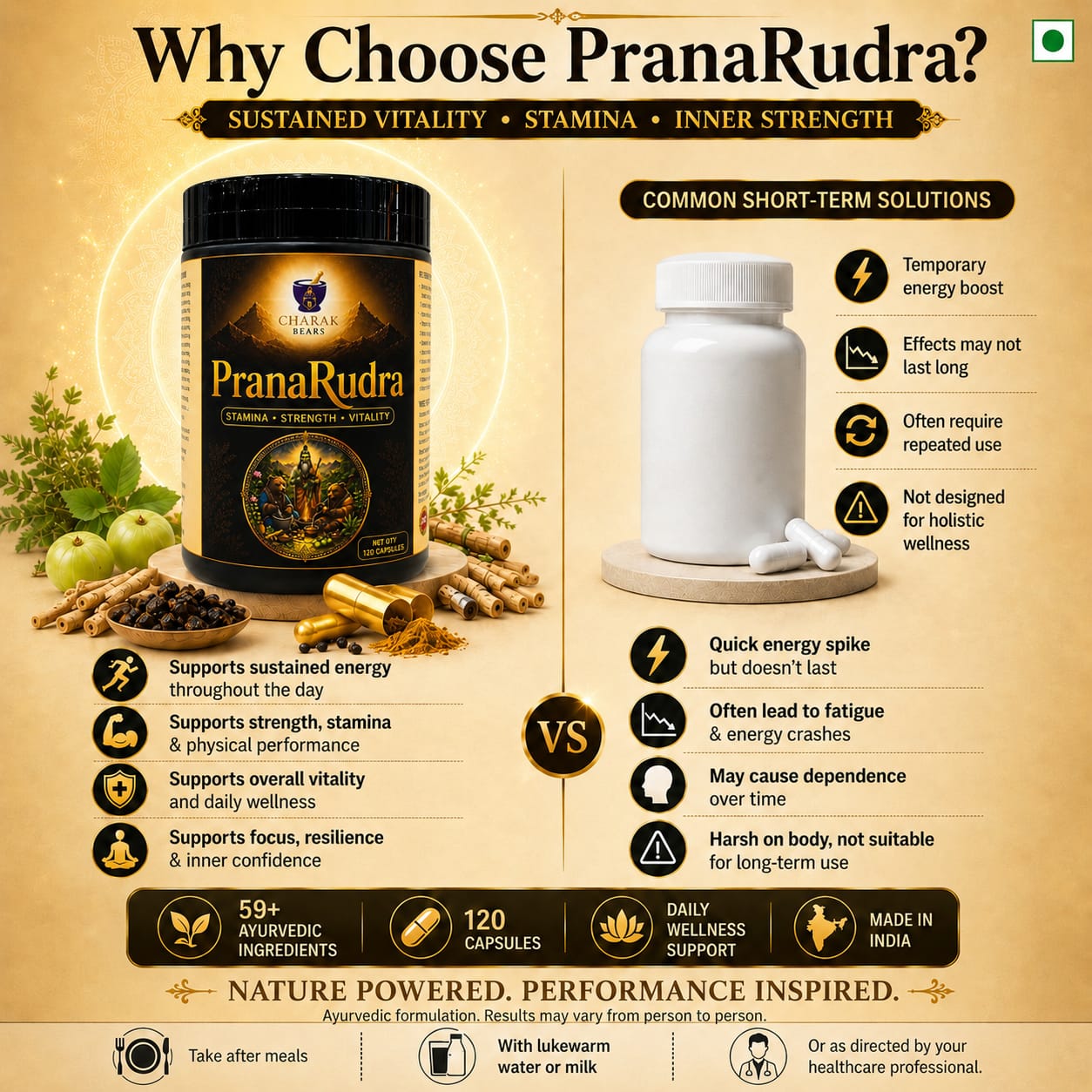 PranaRudra Ayurvedic Capsules - Image 2